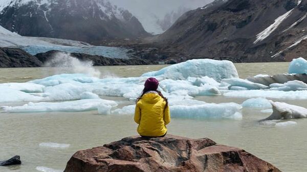 联合国环境与可持续发展补助金
