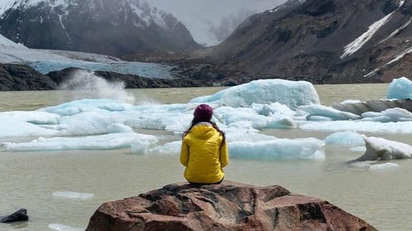 UN-Stipendium für Umweltschutz und Nachhaltigkeit