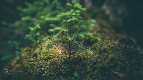 保护我们的星球