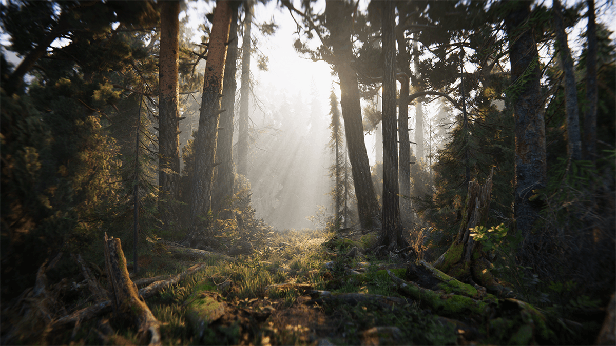 亡灵之书静态镜头